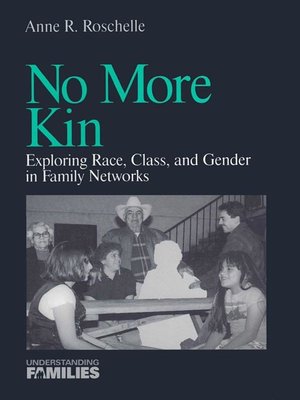 cover image of No More Kin